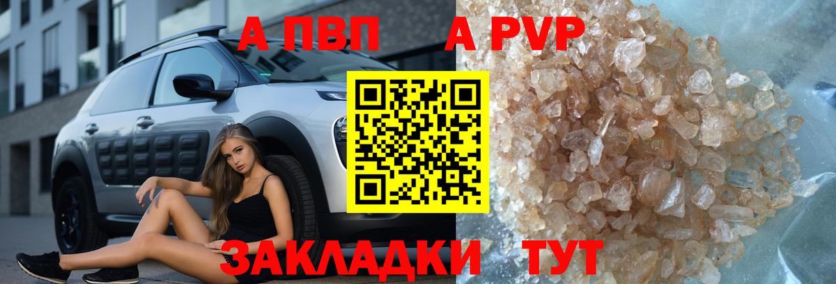 APVP СК Ярославль