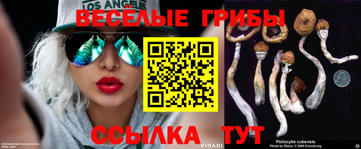 Псилоцибиновые грибы GOLDEN TEACHER Ярославль