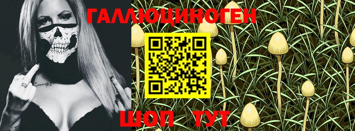 Псилоцибиновые грибы GOLDEN TEACHER  Вход с VPN  Ярославль 